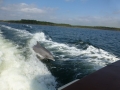 Panama_City00039