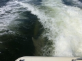 Panama_City00058