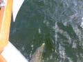 Panama_City00063