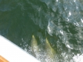 Panama_City00072