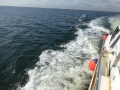 Panama_City00090