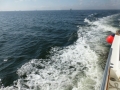 Panama_City00093