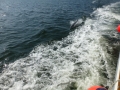 Panama_City00100