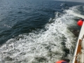 Panama_City00104