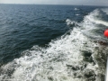 Panama_City00110
