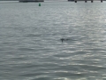 Panama_City00113