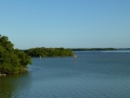 Everglades_100088.jpg