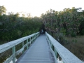 Everglades_100097.jpg