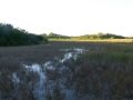 Everglades_100098.jpg