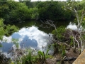 Everglades-SharkValley00071.jpg