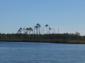 Apalachicola00044