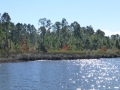 Apalachicola00047