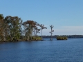 Apalachicola200001