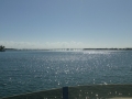 Bradenton_FL00148
