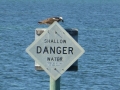 Bradenton_FL00156