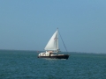 Bradenton_FL00166