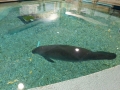 Bradenton_FL00183