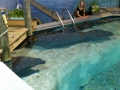 Bradenton_FL00188