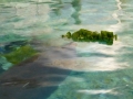 Bradenton_FL00191