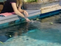 Bradenton_FL00197