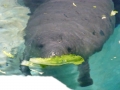 Bradenton_FL00202