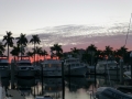 Sarasota00001