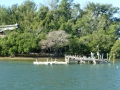 Sarasota00031