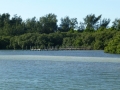 Sarasota00032