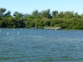Sarasota00033