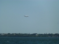 Sarasota00039