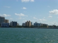 Sarasota00043