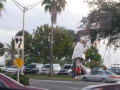 Sarasota00058
