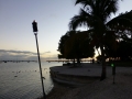 Sarasota00059