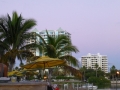 Sarasota00062