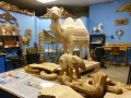 SarasotaRinglingMuseums00012