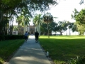 SarasotaRinglingMuseums00051