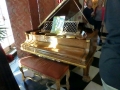 SarasotaRinglingMuseums00074