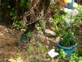 SarasotaWhimsey00041