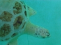Vacation-Dave&Mike00287.jpg