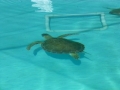 Vacation-Dave&Mike00290.jpg