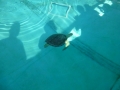 Vacation-Dave&Mike00291.jpg