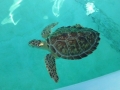 Vacation-Dave&Mike00296.jpg