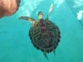 Vacation-Dave&Mike00299.jpg