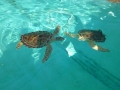Vacation-Dave&Mike00301.jpg