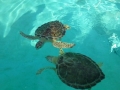 Vacation-Dave&Mike00302.jpg