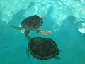 Vacation-Dave&Mike00303.jpg
