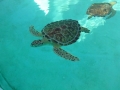 Vacation-Dave&Mike00304.jpg
