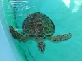 Vacation-Dave&Mike00306.jpg