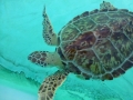 Vacation-Dave&Mike00308.jpg