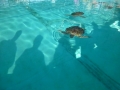 Vacation-Dave&Mike00310.jpg